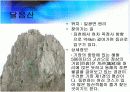 지역축제조사 14페이지
