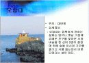 지역축제조사 18페이지