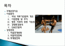 (스포츠산업경영원론) 격투기 산업에 대하여 2페이지