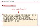 Martin Smith : May 2002 69페이지