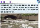 수질오염과 해결방안 제안 3페이지