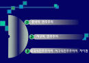 중국식민주주의와 서구식 민주주의의 비교 2페이지