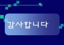 중국식민주주의와 서구식 민주주의의 비교 24페이지