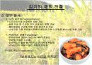 김치 산업의 자료를 발표용인 파워포인트로 작성해보았습니다. 7페이지