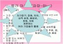 감성마케팅(컬러마케팅, 음향마케팅, 후각마케팅, 미각마케팅, 촉각마케팅)에 대하여 - 마케팅에 사용되는 심리학적 효과에 대하여 13페이지