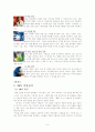 [국제경영론]글로벌 기업 '3M' 경영전략 사례분석 6페이지