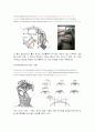 친환경 건축물 - MENARA MESINIAGA (IBM Tower) / Dr. Ken Yeang 6페이지
