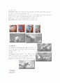 스포츠클라이밍 4페이지
