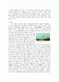 지아장커의 눈으로 현대중국을 바라보다 8페이지