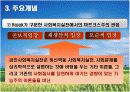 급진사회복지실천모델 11페이지