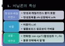 부가중합체 합성섬유 비닐론 3페이지