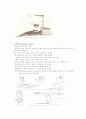견인장치 종류 및 환자의 간호 6페이지