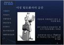 하이모 광고기획안 8페이지