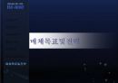 하이모 광고기획안 33페이지