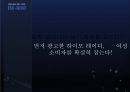 하이모 광고기획안 36페이지