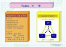 세계 최고의 특송업체 페덱스 3페이지