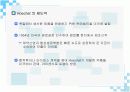 hoechst의 글로벌전략 4페이지