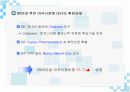 hoechst의 글로벌전략 7페이지