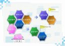 hoechst의 글로벌전략 11페이지