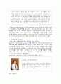 세종시대의 과학 인재육성과 BK21(Brain Korea 21) 비교 5페이지