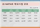 경제공동체2(NAFTA, ASEAN, MERCOSUR, 그외) 5페이지