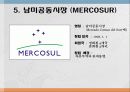 경제공동체2(NAFTA, ASEAN, MERCOSUR, 그외) 30페이지
