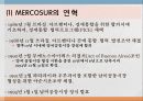 경제공동체2(NAFTA, ASEAN, MERCOSUR, 그외) 31페이지