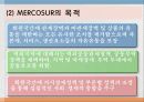 경제공동체2(NAFTA, ASEAN, MERCOSUR, 그외) 32페이지