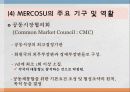 경제공동체2(NAFTA, ASEAN, MERCOSUR, 그외) 34페이지