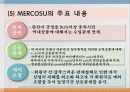경제공동체2(NAFTA, ASEAN, MERCOSUR, 그외) 37페이지
