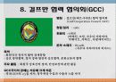 경제공동체2(NAFTA, ASEAN, MERCOSUR, 그외) 40페이지