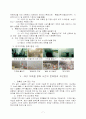 방화와대구지하철방화사건 8페이지