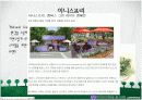 그린마케팅 6페이지