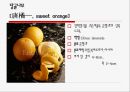 수입되는 과일의 종류와 그 특징 23페이지