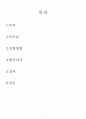 열집중용량보고서 1페이지