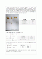 TLC 크로마토그래피 6페이지
