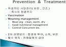 Rotavirus Infection에 관한 팀프로젝트 피피티 발표자료// 수의학과 학생들이 직접 제작 12페이지