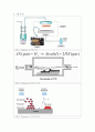 화학적 기상 증착법 (Chemical Vapor Deposition,CVD) (친절한 설명과 핵심적인 내용을 논문 형식으로 작성) 6페이지
