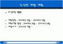 대구 신천 개발 계획 13페이지