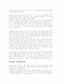 피아제의 인지 발달 이론 3페이지
