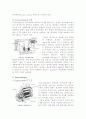 [내연기관] 과급의 의의와 방법 및 Turbocharger와 Supercharger 9페이지