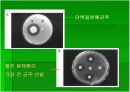 한국재래간장에서 분리한 Bacillus amyloliquefaciens K42가 생산하는 혈전용해효소의 정제 및 특성 10페이지