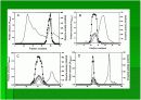 한국재래간장에서 분리한 Bacillus amyloliquefaciens K42가 생산하는 혈전용해효소의 정제 및 특성 13페이지