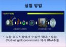 홍합 유래 접착 단백질의 실험 및 정제 12페이지