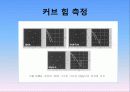 홍합 유래 접착 단백질의 실험 및 정제 17페이지