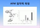 홍합 유래 접착 단백질의 실험 및 정제 18페이지