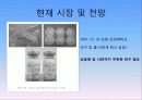 홍합 유래 접착 단백질의 실험 및 정제 22페이지