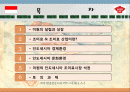 미원의 인도네시아 진출 전략 2페이지