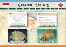 미원의 인도네시아 진출 전략 9페이지