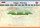 미원의 인도네시아 진출 전략 11페이지